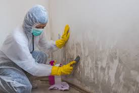 Best Industrial Mold Remediation  in Ingleside, TX